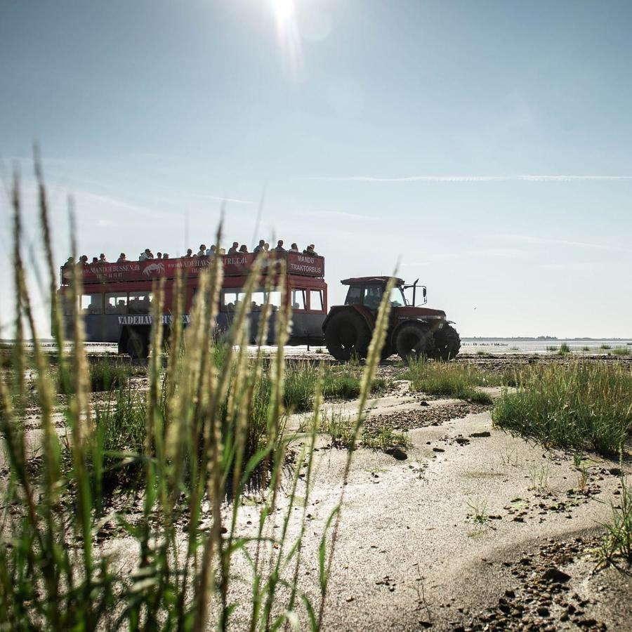 Lustrup Farmhouse Ribe Zewnętrze zdjęcie